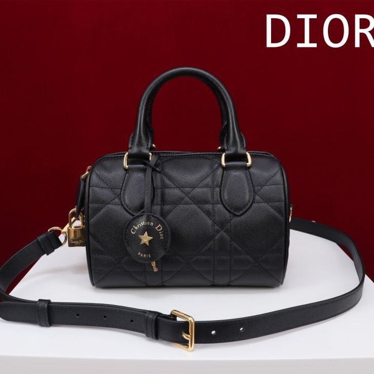 chr1st1an D10r boston bags